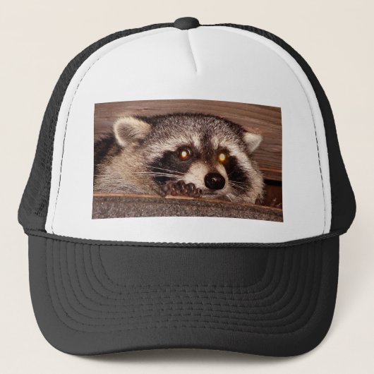 Raccoon Trucker Pet (Voorkant)