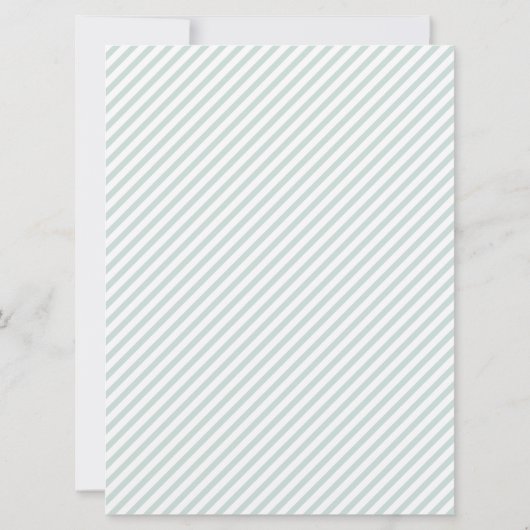 Raccoon, uitgesneden kaart (Achterkant)