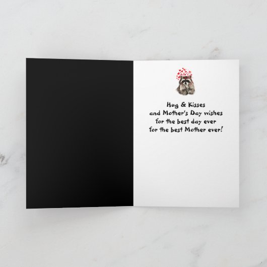 Raccoon van moederdag kaart (Binnen)