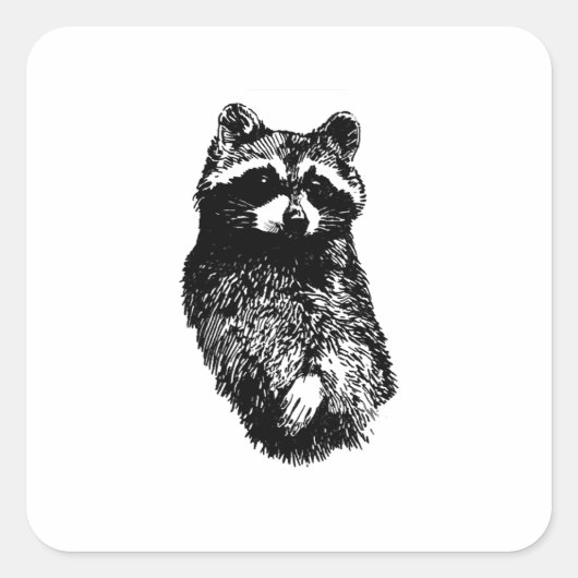 Raccoon Vierkante Sticker (Voorkant)