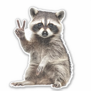 Raccoon Vredesteken Sticker