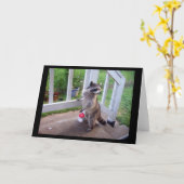 Raccoon Wenskaart Kaart (Gele Bloem)