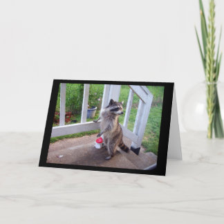 Raccoon Wenskaart Kaart