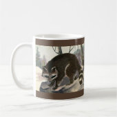  Raccoon, wilddierenbos Koffiemok (Links)