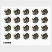  Raccoon, wilddierenbos Ronde Sticker (Vel)