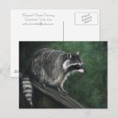 "Raccoon" Wildlife art Briefkaarten (Voorkant / Achterkant)