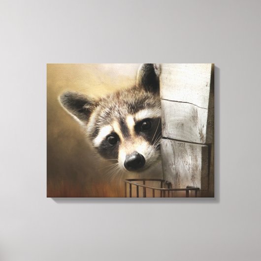Raccoon Wildlife Canvas (Voorkant)
