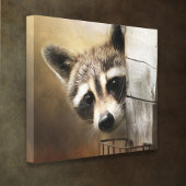 Raccoon Wildlife Canvas Afdruk