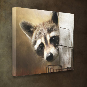 Raccoon Wildlife Canvas Afdruk