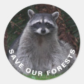 Raccoon Wildlife Foto Forest Conservation Ronde Sticker (Voorkant)