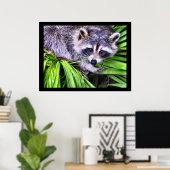 Raccoon Wildlife fotografie Poster (Thuiskantoor)