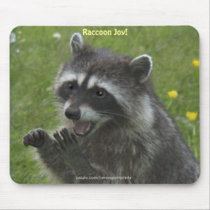 RACCOON WILDLIFE Happiness Muismatten