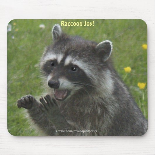 RACCOON WILDLIFE Happiness Muismatten (Voorkant)