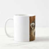 Raccoon Youngster Mok (Links)