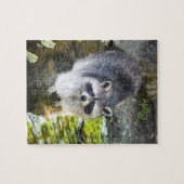 Raccoon zwemmen in rivierwater legpuzzel (Horizontaal)
