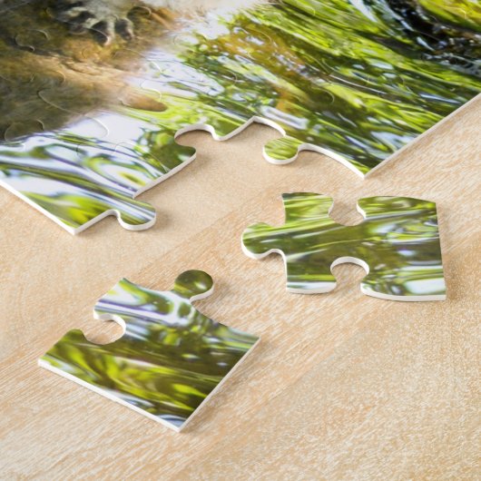 Raccoon zwemmen in rivierwater legpuzzel (Zijkant)