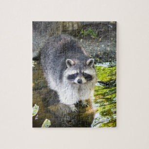 Raccoon zwemmen in rivierwater legpuzzel
