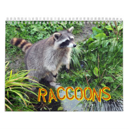 Raccoons-agenda Kalender