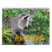 Raccoons-agenda Kalender (Hoes)