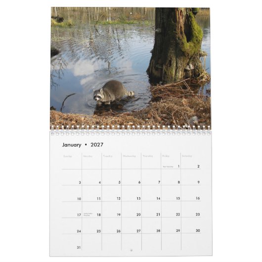Raccoons-agenda Kalender (Jan 2027)