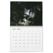 Raccoons-agenda Kalender (Mar 2026)