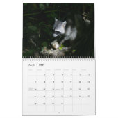Raccoons-agenda Kalender (Mar 2027)