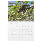 Raccoons-agenda Kalender (Feb 2027)