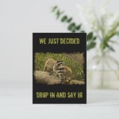 Raccoons Briefkaart (Staand voorkant)