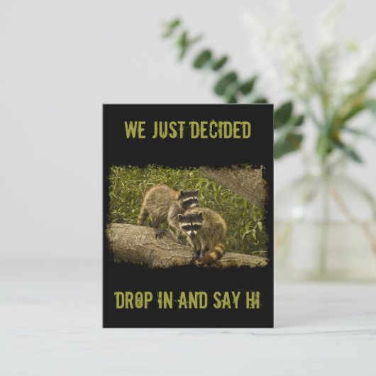 Raccoons Briefkaart (Staand voorkant)