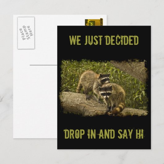 Raccoons Briefkaart (Voorkant / Achterkant)
