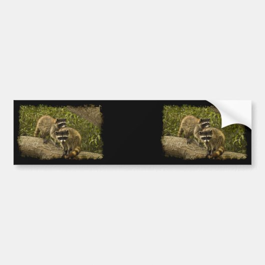 Raccoons Bumpersticker (Voorkant)