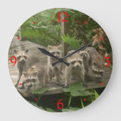 Raccoons> Dierenwandklokken Grote Klok (Voorkant)
