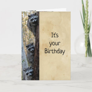 Raccoons & ik hier om Happy Birthday Humor te wens Kaart