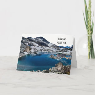 Raccoons in de Wilde Birthday Kaart