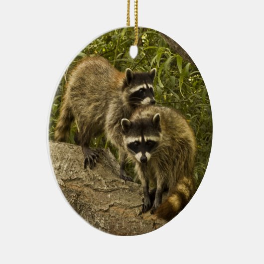 Raccoons! Keramisch Ornament (Rechts)