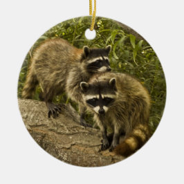 Raccoons! Keramisch Ornament
