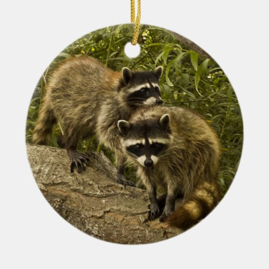 Raccoons! Keramisch Ornament (Voorkant)