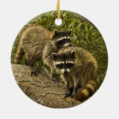 Raccoons! Keramisch Ornament (Achterkant)