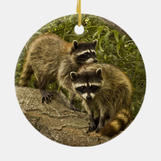 Raccoons! Keramisch Ornament (Achterkant)