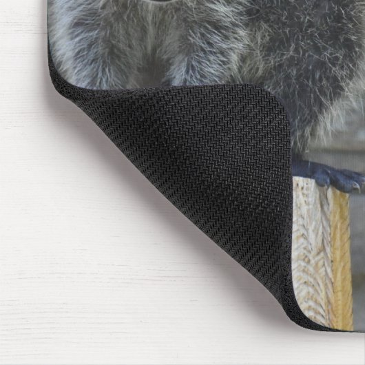 Raccoons - Mousepad - #1032 Muismat (Hoek)