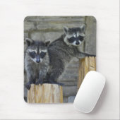 Raccoons - Mousepad - #1032 Muismat (Met muis)