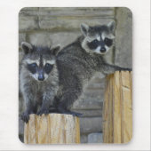 Raccoons - Mousepad - #1032 Muismat (Voorkant)