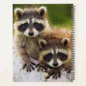 Raccoons Planner (Achterkant)