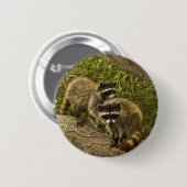 Raccoons Ronde Button 5,7 Cm (Voorkant /achterkant)