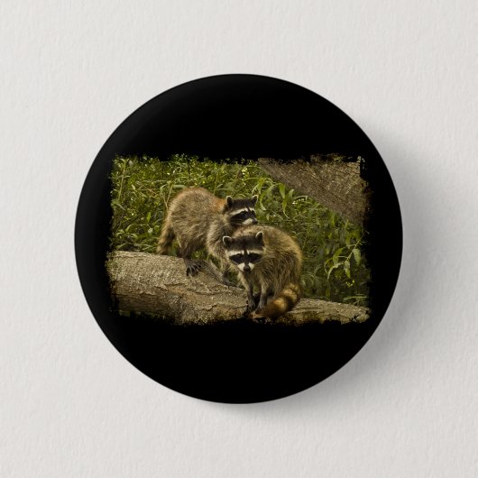 Raccoons Ronde Button 5,7 Cm (Voorkant)
