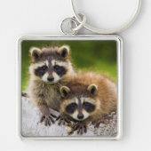 Raccoons Sleutelhanger (Voorkant)
