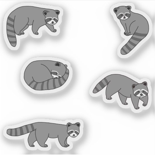 Raccoons Sticker (Voorkant)