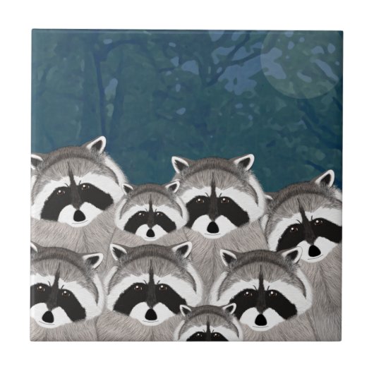 Raccoons Tegel Tegeltje (Voorkant)