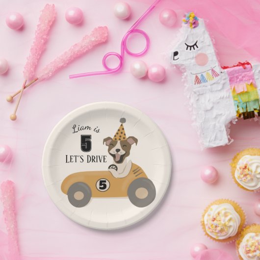 Race Car Dog Boys Vijfde verjaardag Papieren Bordje (Feest)