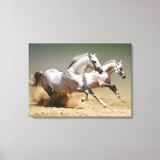 Race de windpaarden canvas afdruk (Voorkant)